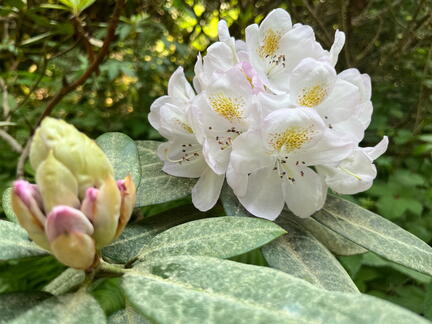 23-06-03 17-01-02 5813